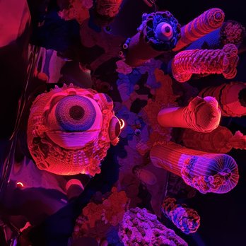 Meow Wolf - Venues & Event Spaces Near Me - Denver, Colorado
