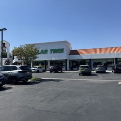 Dollar Tree - Parking view