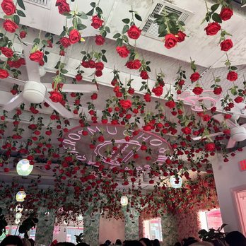 Taquero Mucho - Ceiling, with hanging roses - Mexican Near Me - Austin, Texas Taquero Mucho - Ceiling, with hanging roses - Mexican Near Me - Austin, Texas