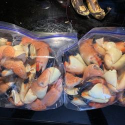 Seafood Connection