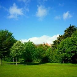 Avoca Park