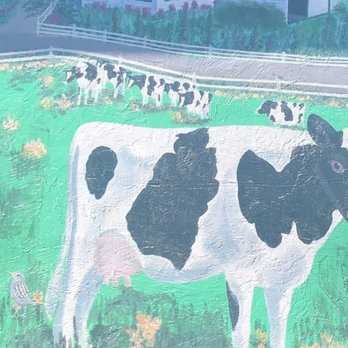 Meadowlark Dairy - Moo cows on the walls - Ice Cream & Frozen Yogurt Near Me - Pleasanton, California Meadowlark Dairy - Moo cows on the walls - Ice Cream & Frozen Yogurt Near Me - Pleasanton, California