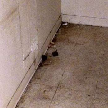 American Management - Dead rodent in the former recycling room. - Property Management Near Me - Baltimore, Maryland American Management - Dead rodent in the former recycling room. - Property Management Near Me - Baltimore, Maryland