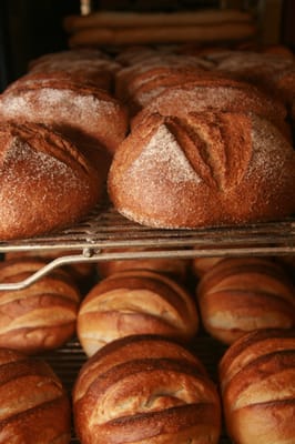 Hawthorne Valley Farm by null