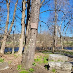 Satan’s Kingdom State Park
