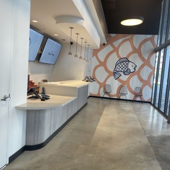 Belly Fish - Sushi Bars Near Me - Miami, Florida Belly Fish - Sushi Bars Near Me - Miami, Florida