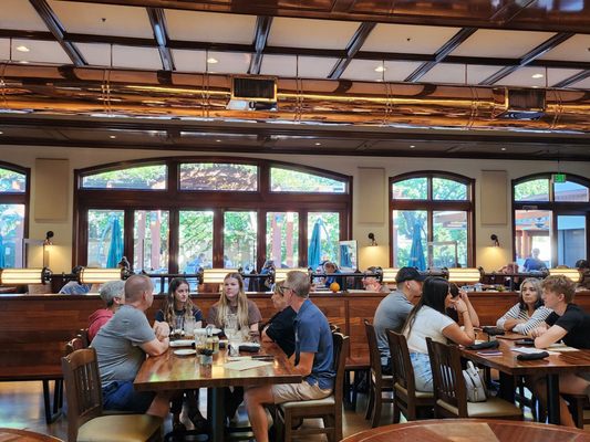 Sierra Nevada Brewing Co. by null