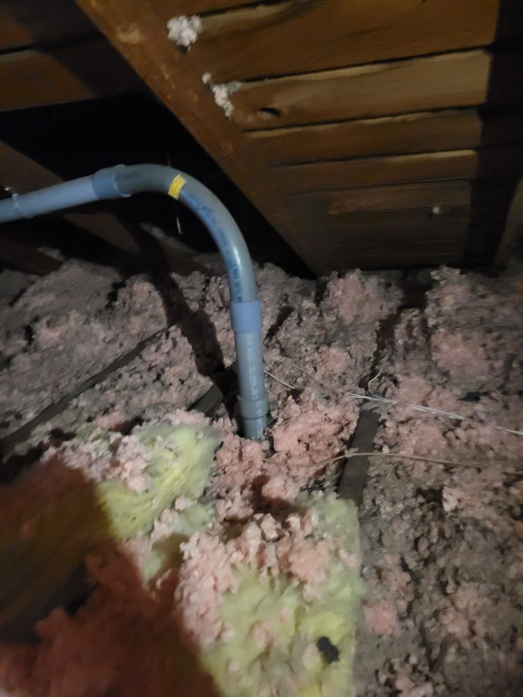 GREEN ATTIC Updated June 2024 103 Photos & 14 Reviews 21814 84th