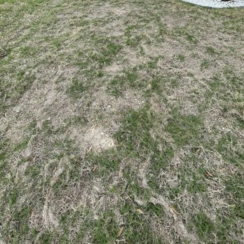 Q Landscape - Lawn Services Near Me