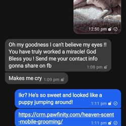 Heaven Scent Mobile Grooming - This is the text we got from Lil Fella's family after what can only be referred to as his transformation!