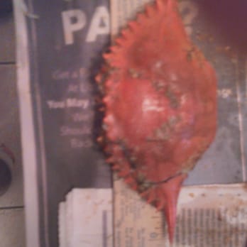She's Got Crabs - POINT TO POINT 6" THAT'S NOT LARGE - Seafood Near Me - Parkton, Maryland She's Got Crabs - POINT TO POINT 6" THAT'S NOT LARGE - Seafood Near Me - Parkton, Maryland
