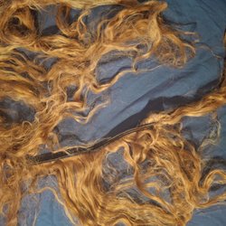 This is the hair