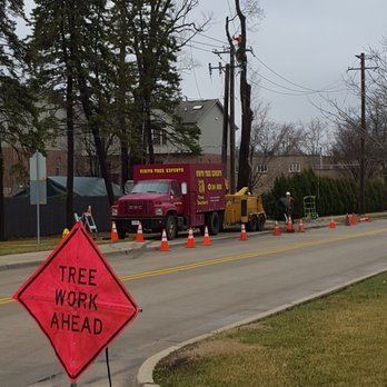 Vidito Tree Experts - Tree Services Near Me - Westmont, Illinois Vidito Tree Experts - Tree Services Near Me - Westmont, Illinois