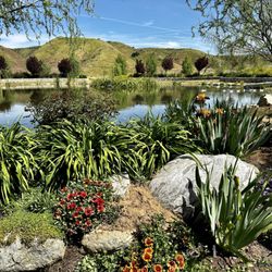 The Gardens Wild Oak Farms - Large pond with the hills in the background.