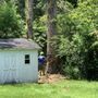 Photo of Southern Roots Tree Service
