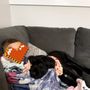 Photo of Bark Side Manners