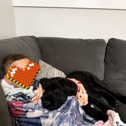 Bark Side Manners