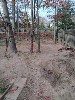 Countrys Property Enhancements