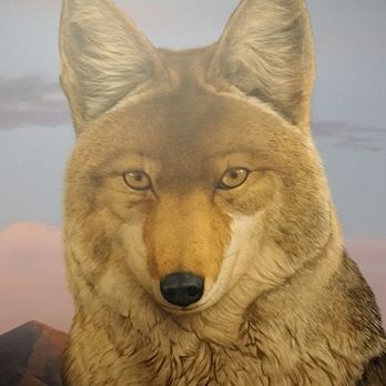 Albuquerque Museum - Art Museums Near Me - Albuquerque, New Mexico