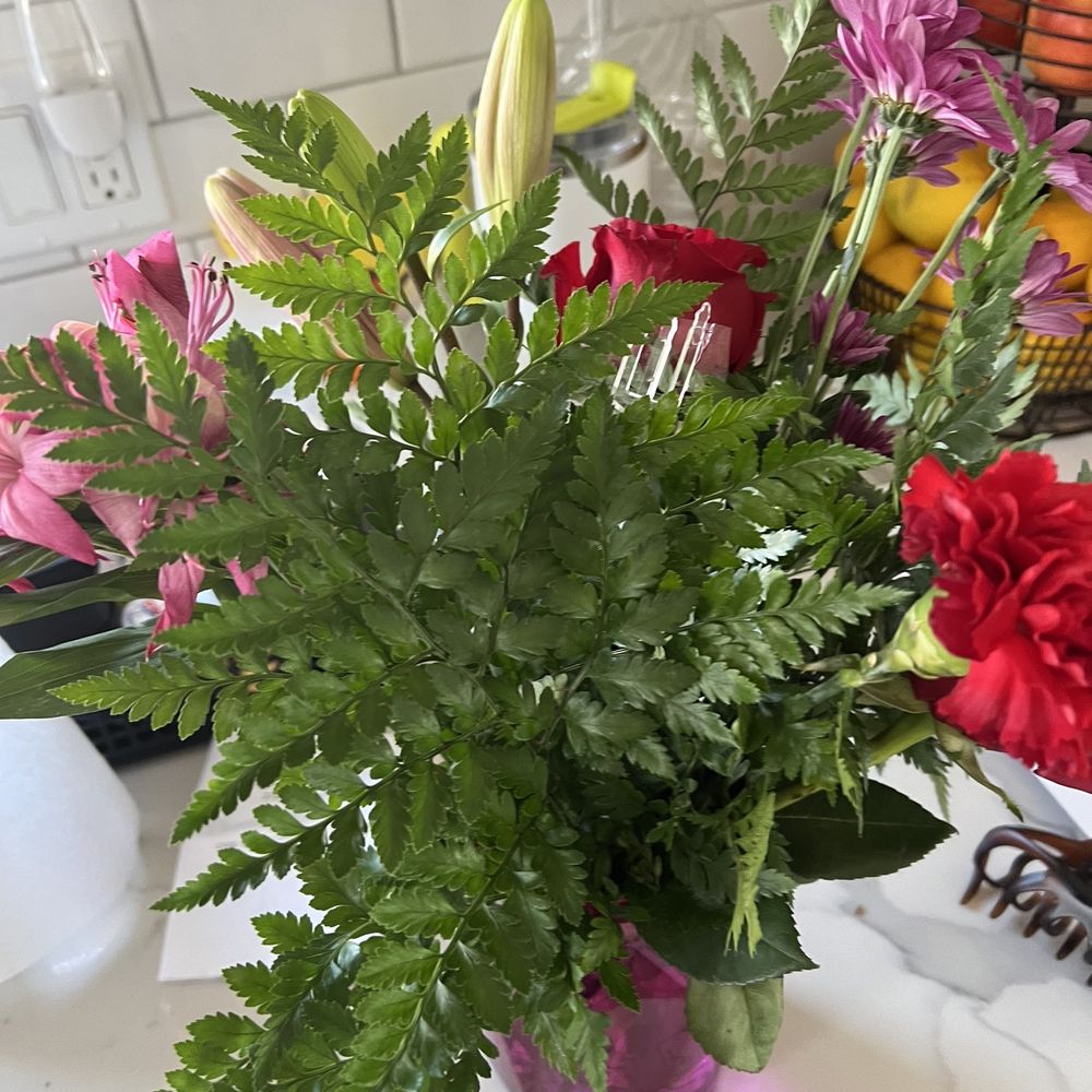 Floreria Mexico - The greens and flowers just stuffed in the vase .. this place doesn't "arrange" the flowers in their floral arrangements! - Florists Near Me - Huntington Park, California Floreria Mexico - The greens and flowers just stuffed in the vase .. this place doesn't "arrange" the flowers in their floral arrangements! - Florists Near Me - Huntington Park, California