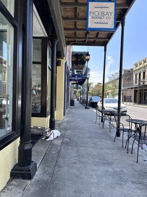 Mo' Bay Beignet Co. by null