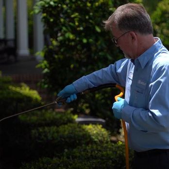 Bug Out - Pest Control Near Me - Hendersonville, North Carolina