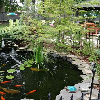 Sweet Retreat - a koi pond surrounded by a fence - Ice Cream & Frozen Yogurt Near Me - Leamington, Ontario Sweet Retreat - a koi pond surrounded by a fence - Ice Cream & Frozen Yogurt Near Me - Leamington, Ontario