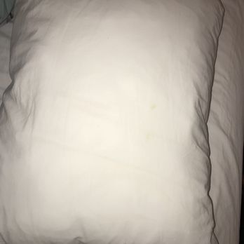 Quality Inn Suites Anaheim Maingate 108 Photos 108 Reviews