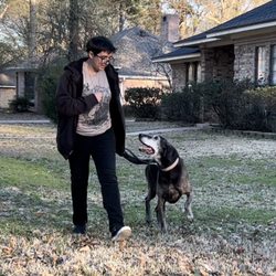 Focused K9 - Bubba enjoying on leash walking