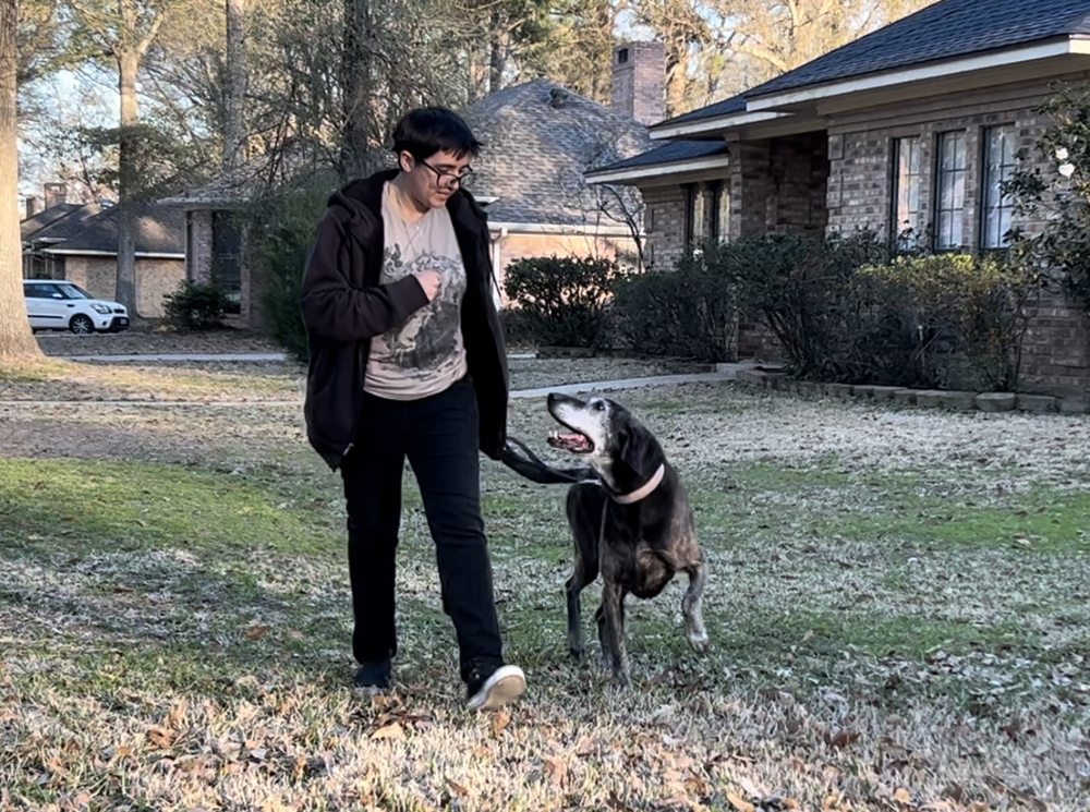 Focused K9 Image