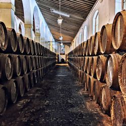 Bodegas Fundador Pedro Domecq - Benebelnde Atmosphäre (07/2025)