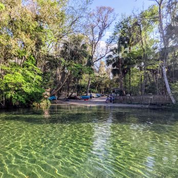 Wekiwa Springs State Park - View from the kayak launch area - Parks Near Me - Apopka, Florida Wekiwa Springs State Park - View from the kayak launch area - Parks Near Me - Apopka, Florida