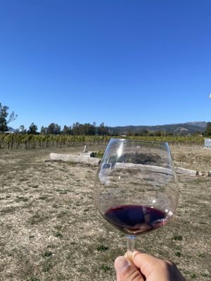 Canihan Wines by null