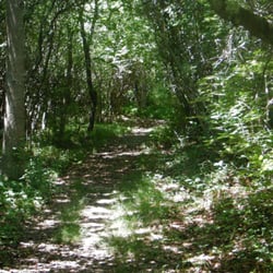 Green Hill Park