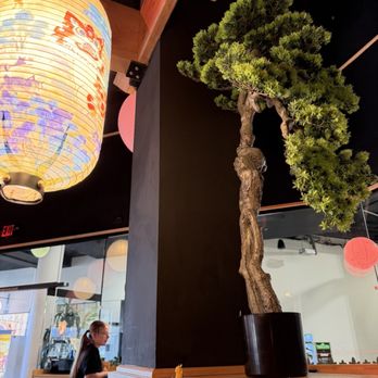 Bonzai! Coffee Plus Teabar - Interior - Coffee & Tea Near Me - Salem, Oregon Bonzai! Coffee Plus Teabar - Interior - Coffee & Tea Near Me - Salem, Oregon