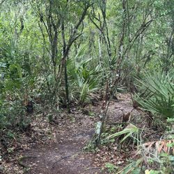 Lake Griffin State Park