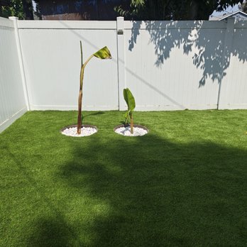 TurfCity - Banana trees - Landscaping Near Me - Beverly Hills, California TurfCity - Banana trees - Landscaping Near Me - Beverly Hills, California