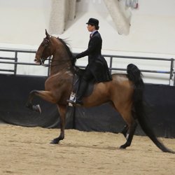 Whitney at California Futurity
