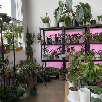 Bloomsgiving - Interior - Florists Near Me - Mountain View, California