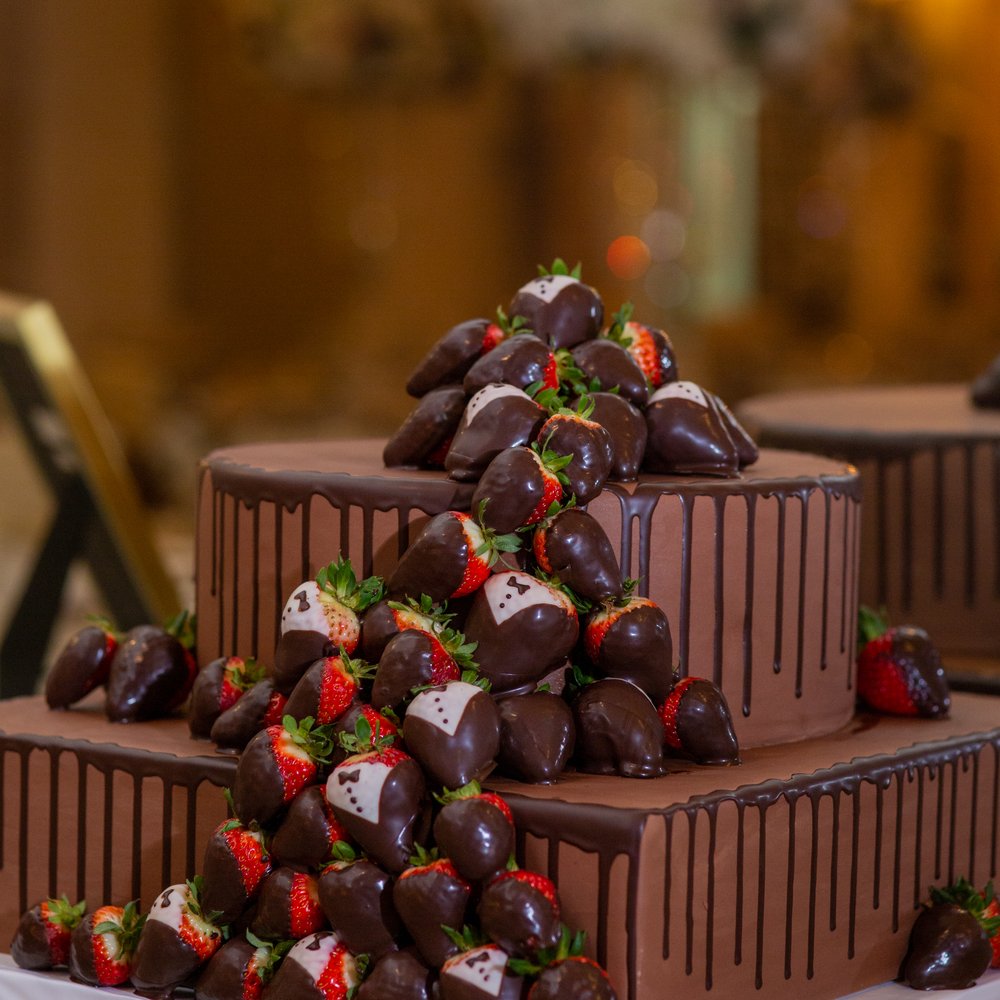 Panini Bakery & Cakes - Bakeries Near Me - Dallas, Texas Panini Bakery & Cakes - Bakeries Near Me - Dallas, Texas