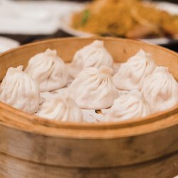 Journey To The Dumpling