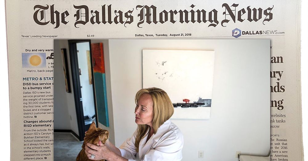 Cat Behavior Solutions - child therapist in Carrollton, TX