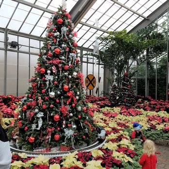 Conservatory Crossing - large tree in the reception area - Florists Near Me - Indianapolis, Indiana
