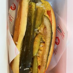 Chicago Dog Chicago Dog
