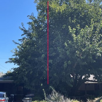 Affordable Arborist - DIrection provided - Tree Services Near Me - Vacaville, California