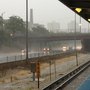 Photo of Western Blue Line