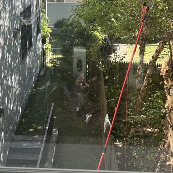 1. H & L Tree Removal