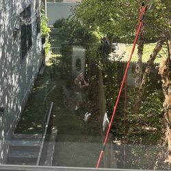 H & L Tree Removal