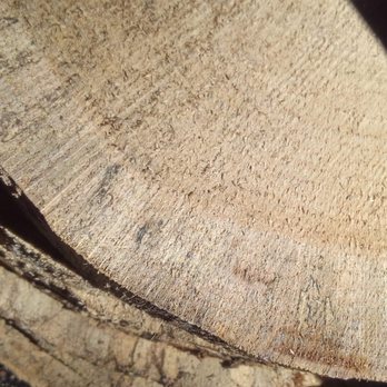 Mobile Sawmill NJ - Spalting revealed after cut - Building Supplies Near Me Mobile Sawmill NJ - Spalting revealed after cut - Building Supplies Near Me