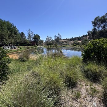 Eden Vale Inn - Pond - Bed & Breakfast Near Me - Placerville, California Eden Vale Inn - Pond - Bed & Breakfast Near Me - Placerville, California